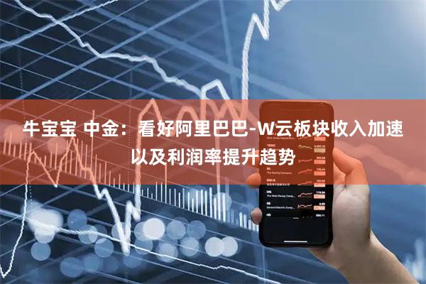 牛宝宝 中金：看好阿里巴巴-W云板块收入加速以及利润率提升趋势